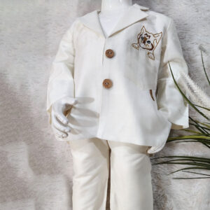 Baby Boy Party Wear