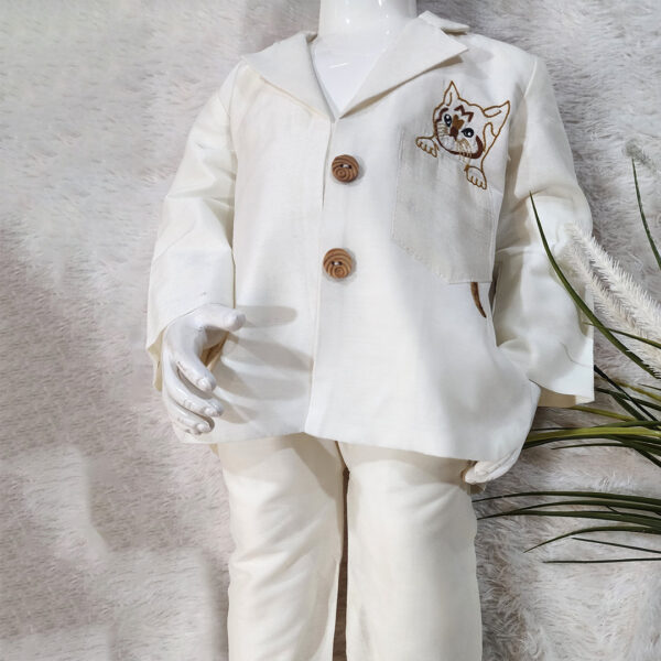 Baby Boy Party Wear