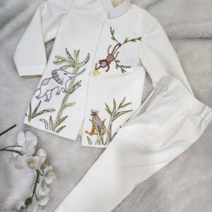 Boy Party Wear Suit & Pant Set