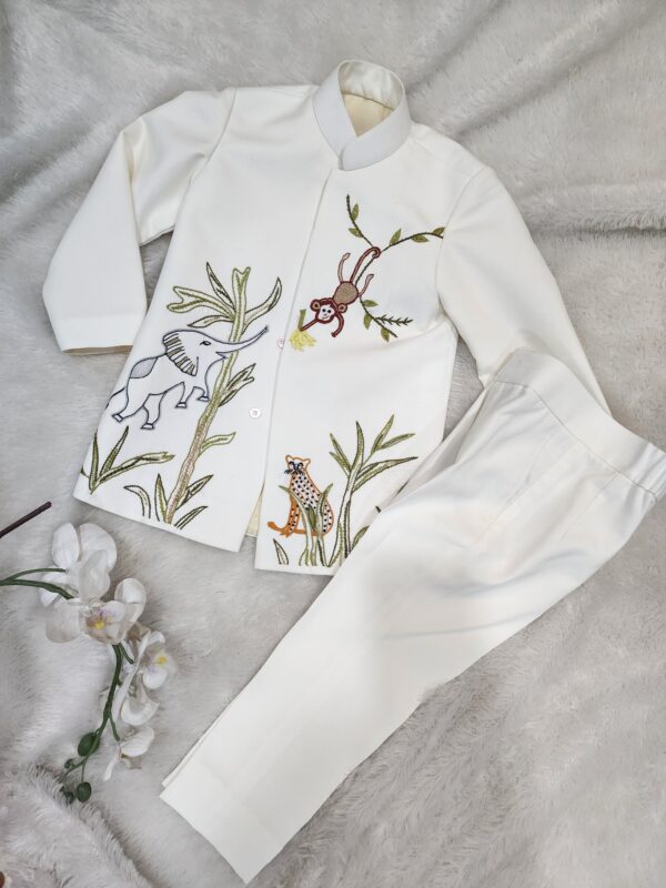 Boy Party Wear Suit & Pant Set