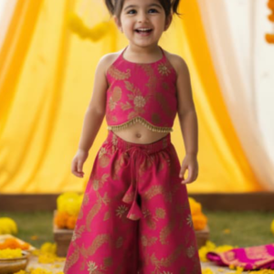 Baby Girl Party Wear